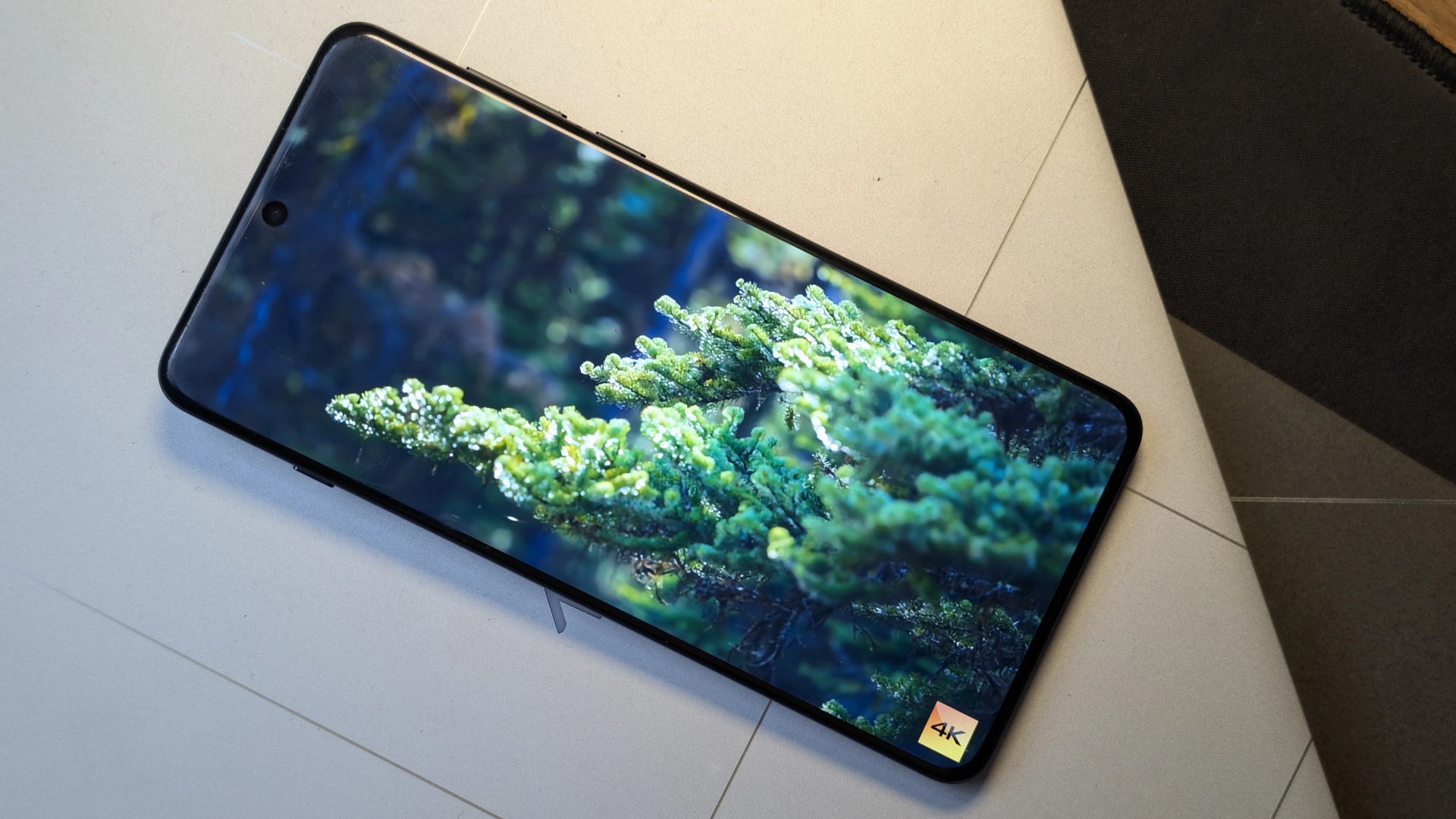 oppo2.jpg