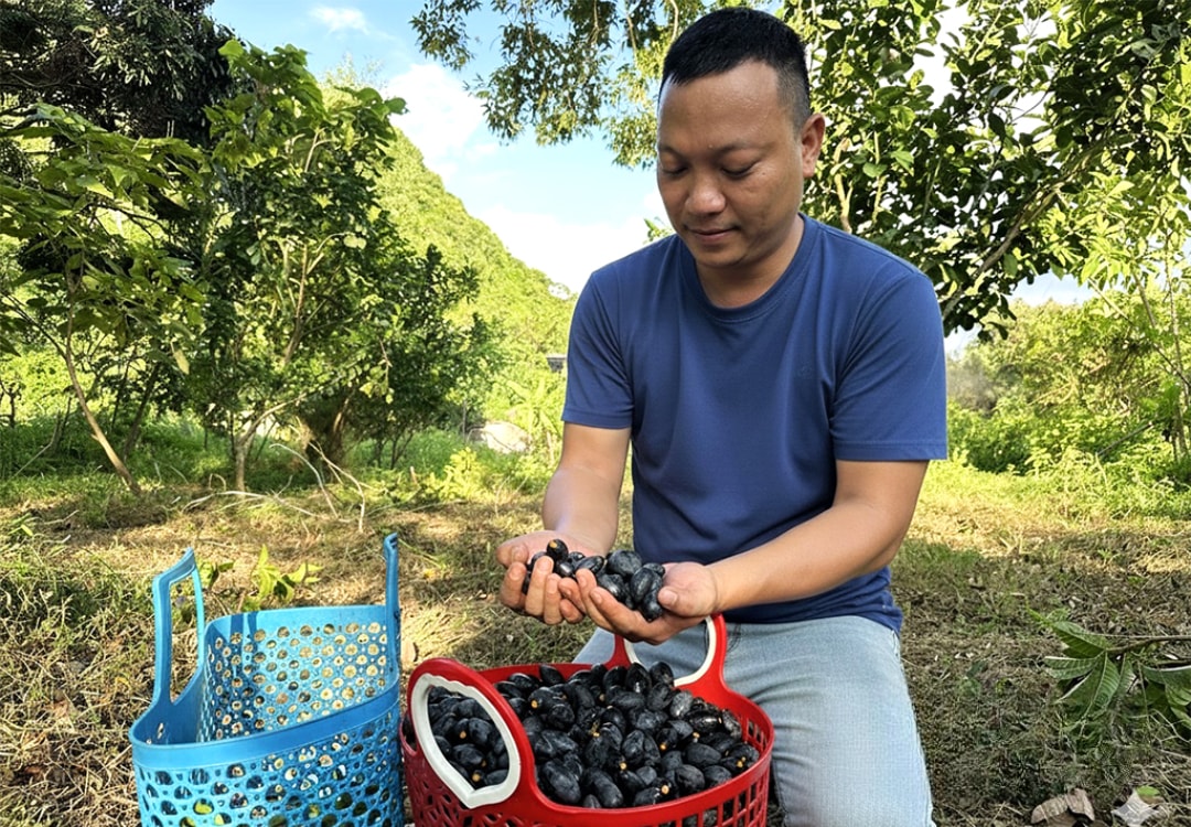 Anh Đinh Thái Học (1)