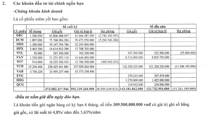 NTL đầu tư tài chính