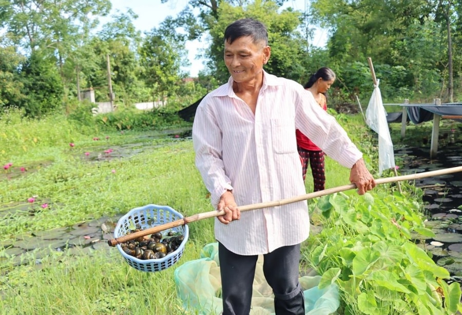 Ông Sỹ vui vẻ chia sẻ về mô hình nuôi ốc