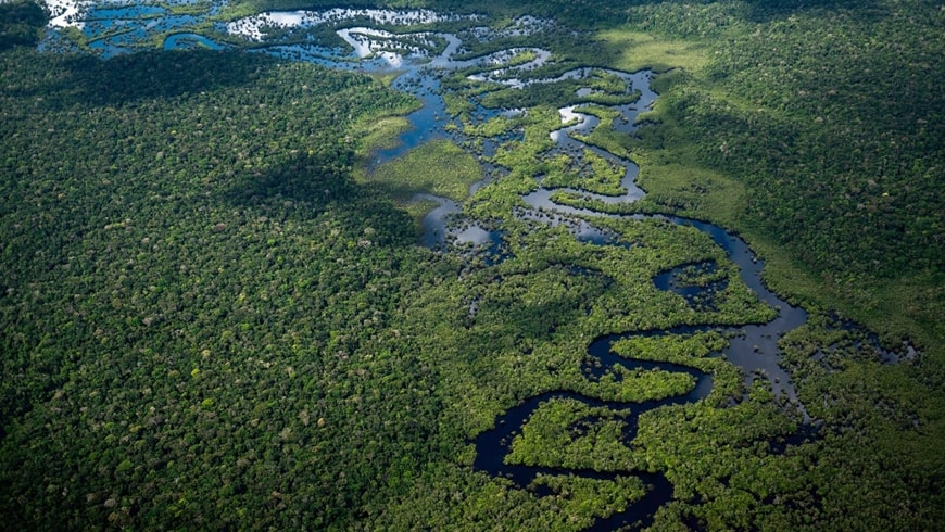 Rừng Amazon