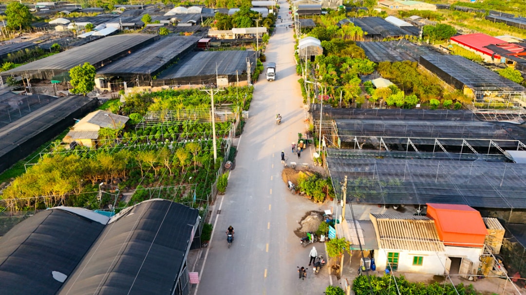 Xã Phụng Công (1)