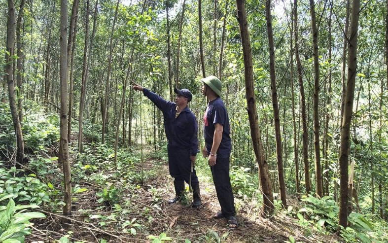 Anh Thảo đang giới thiệu về rừng tràm