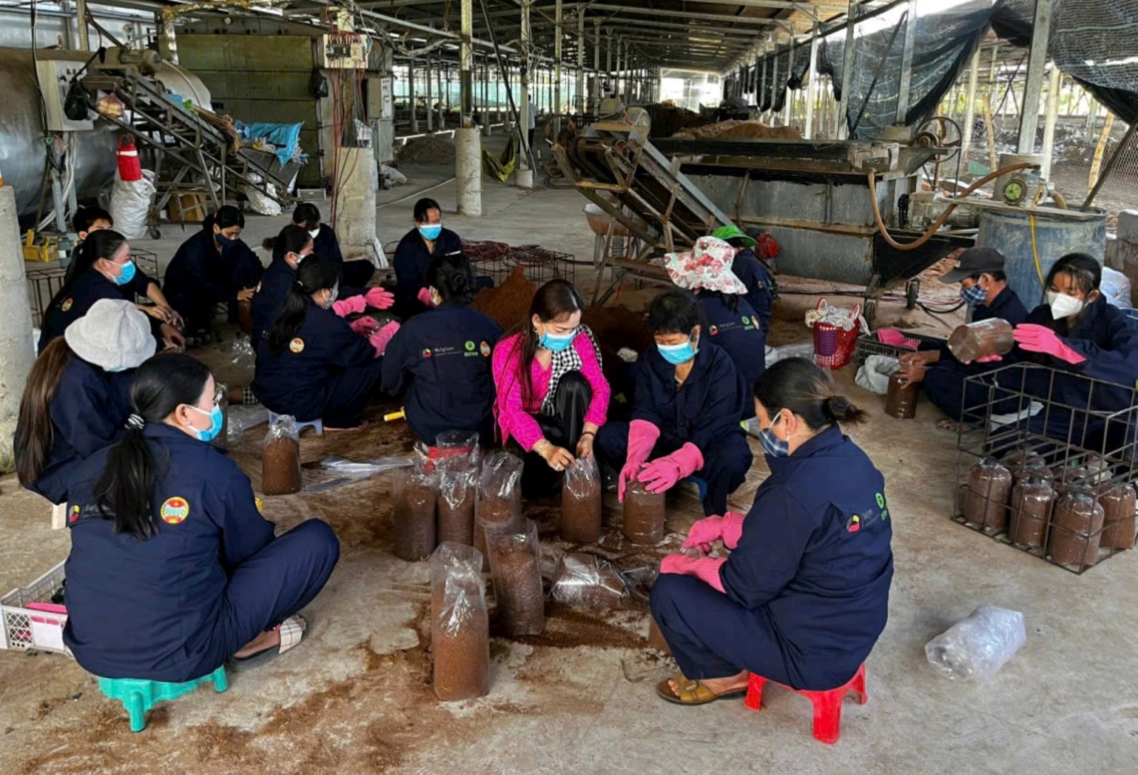 Cơ sở sản xuất nấm nhà chị Nương