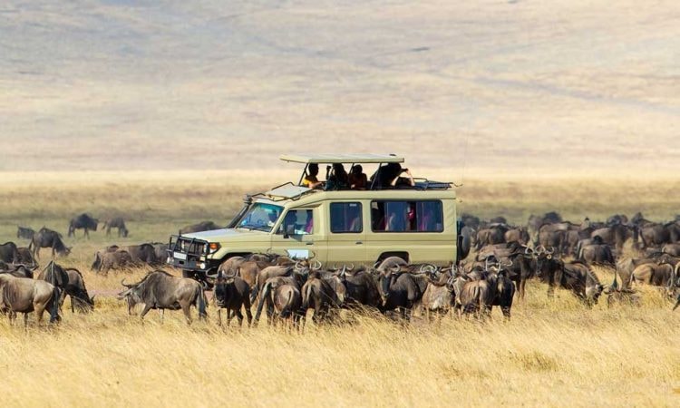 Serengeti National Park 1