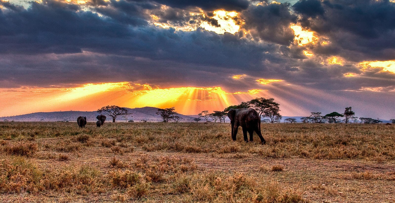 Serengeti National Park