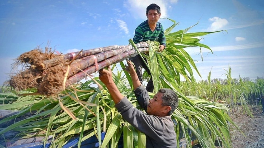 đường quảng ngãi