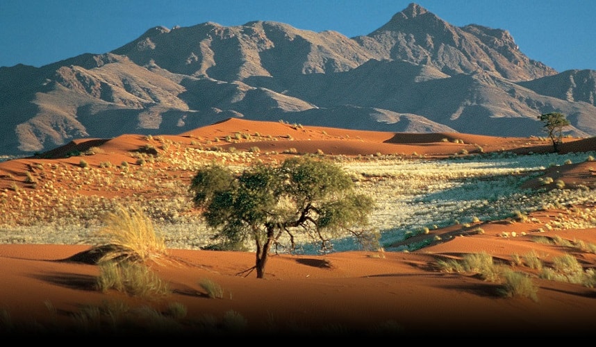 sa mạc Namib 1
