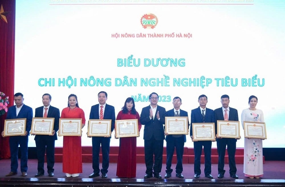 3 năm liền nhận danh hiệu Chi hội xuất sắc, cá nhân vượt khó của Thành phố Hà Nội