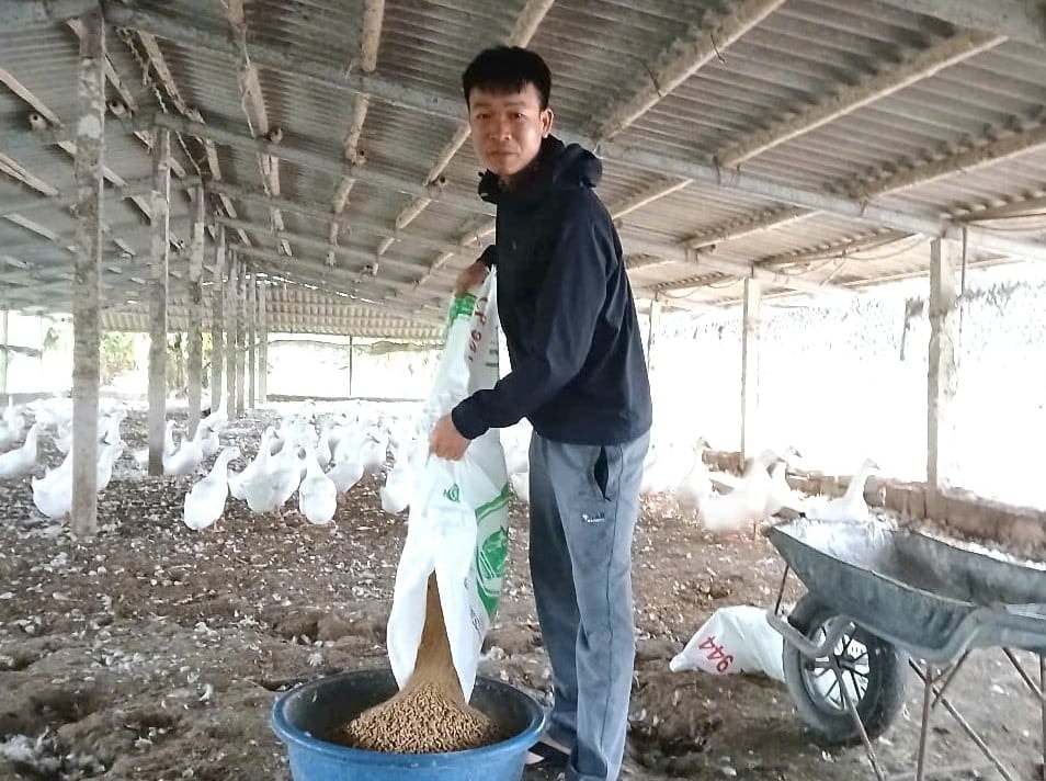 Dù là mô hình truyển thống, nhưng anh Đức đã áp dụng thêm nhiều kiến thức hiện đại, từ đó có thu nhập tốt