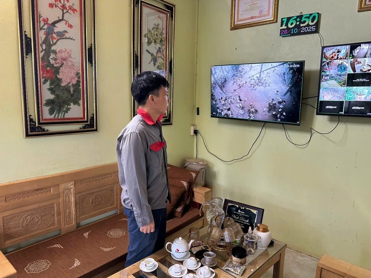 Anh Quang theo dõi trang trại qua camera