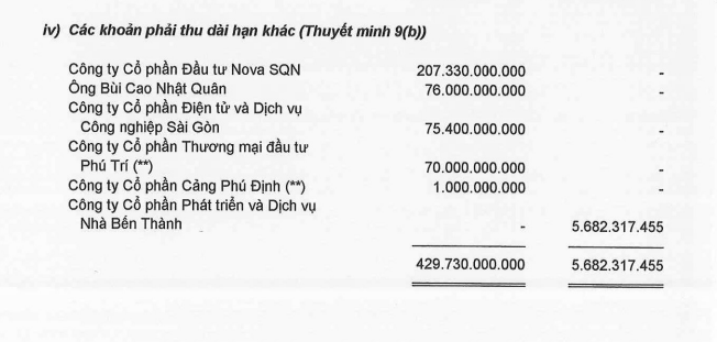 BCTC năm 2020 của NVL