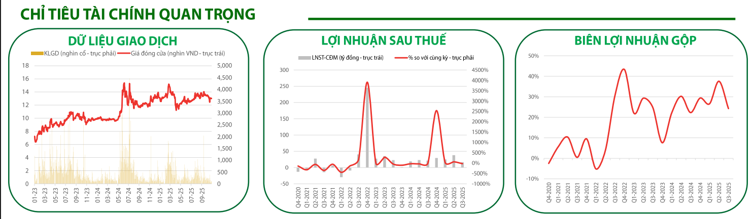 chỉ tiêu tài chính quan trọng của VIP 