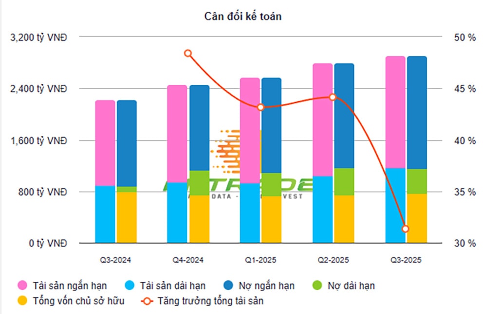 bảng cân đối kế toán RYG