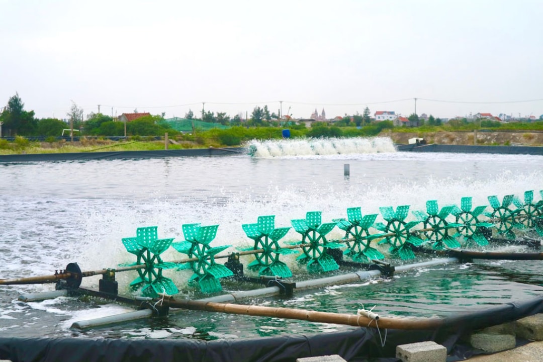 Nằm ven biển nên các mô hình thủy sản phát triển rất tốt tại xã Hải Xuân (1)