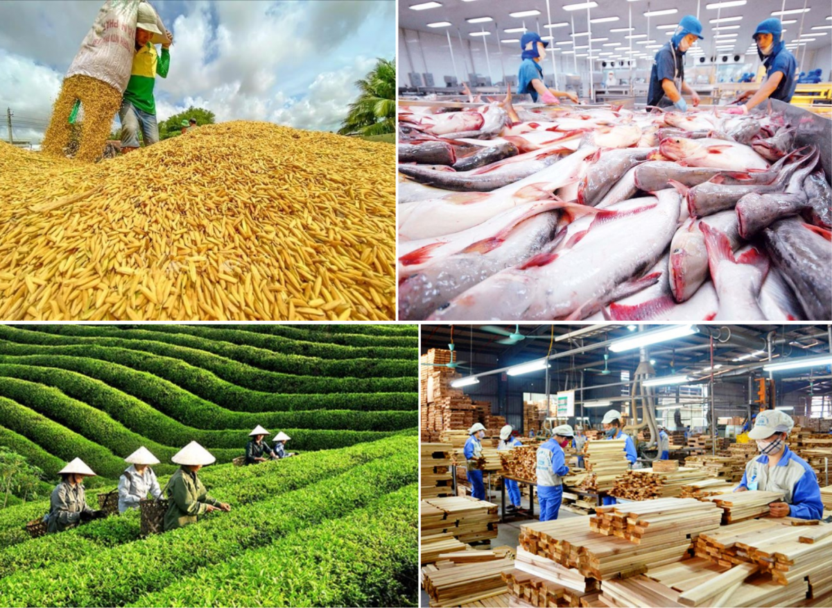 nông lâm thủy sản