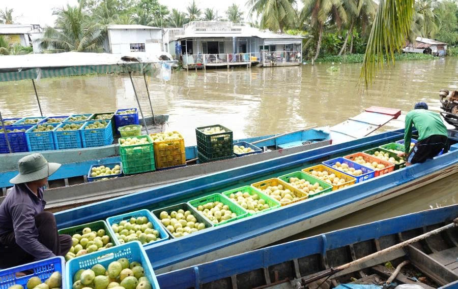 Phương tiện vận chuyển khá đặc biệt, phù hợp với khu vực địa phương