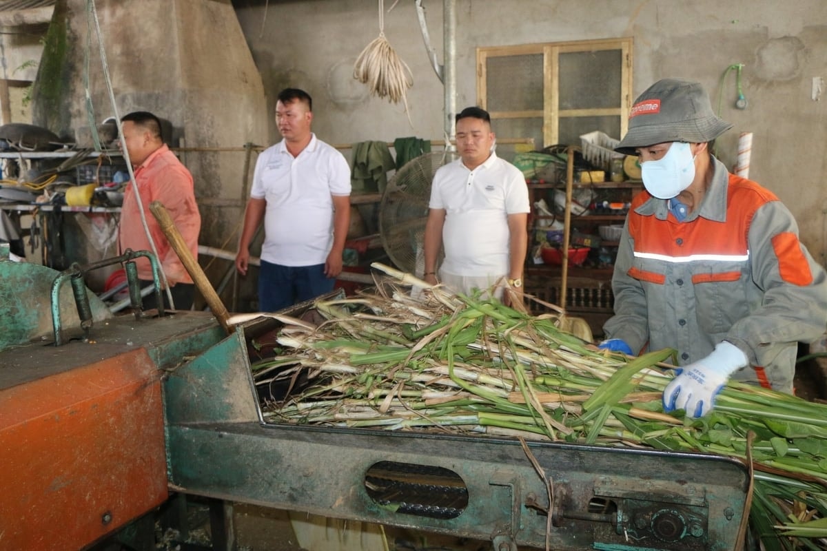 Anh Liêm cũng tạo ra nhiều việc làm cho người dân xung quanh
