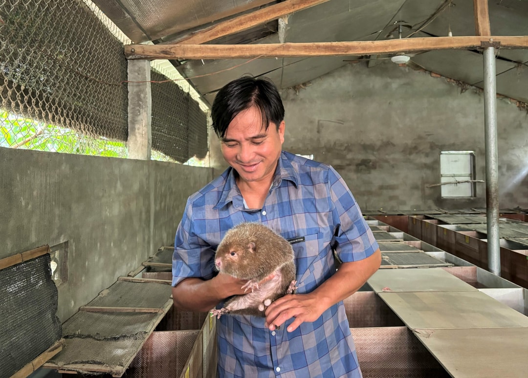 Anh Thanh vui vẻ chia sẻ về mô hình nuôi dúi của mình (1)