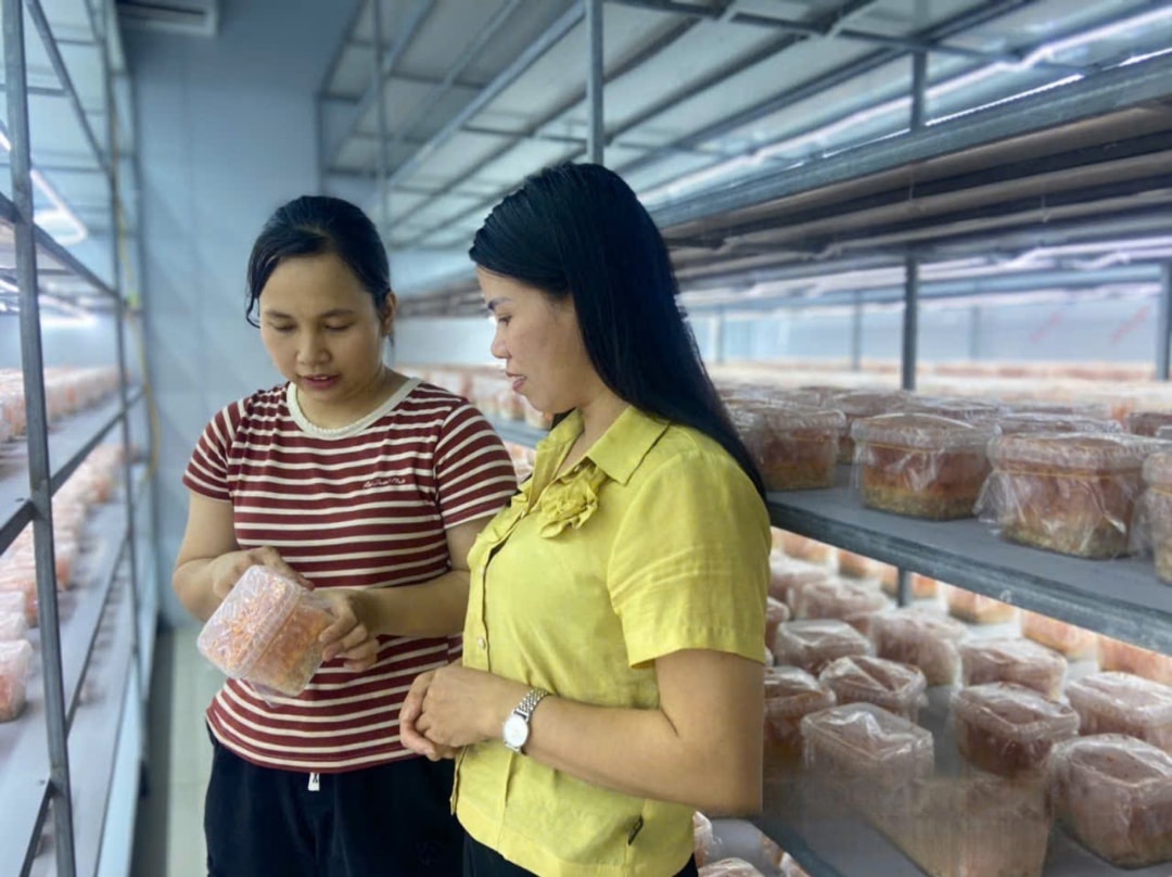 Chị Duyên đang giới thiệu về sản phẩm của mình (1)