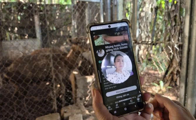 Kênh Youtube riêng của bà Giang