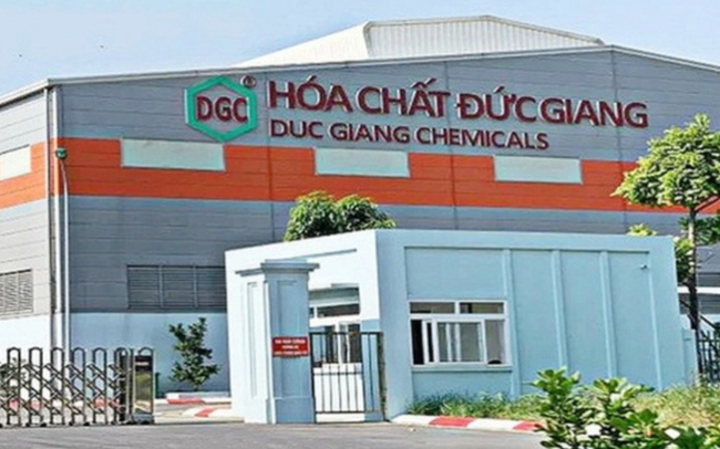 hcdg.png