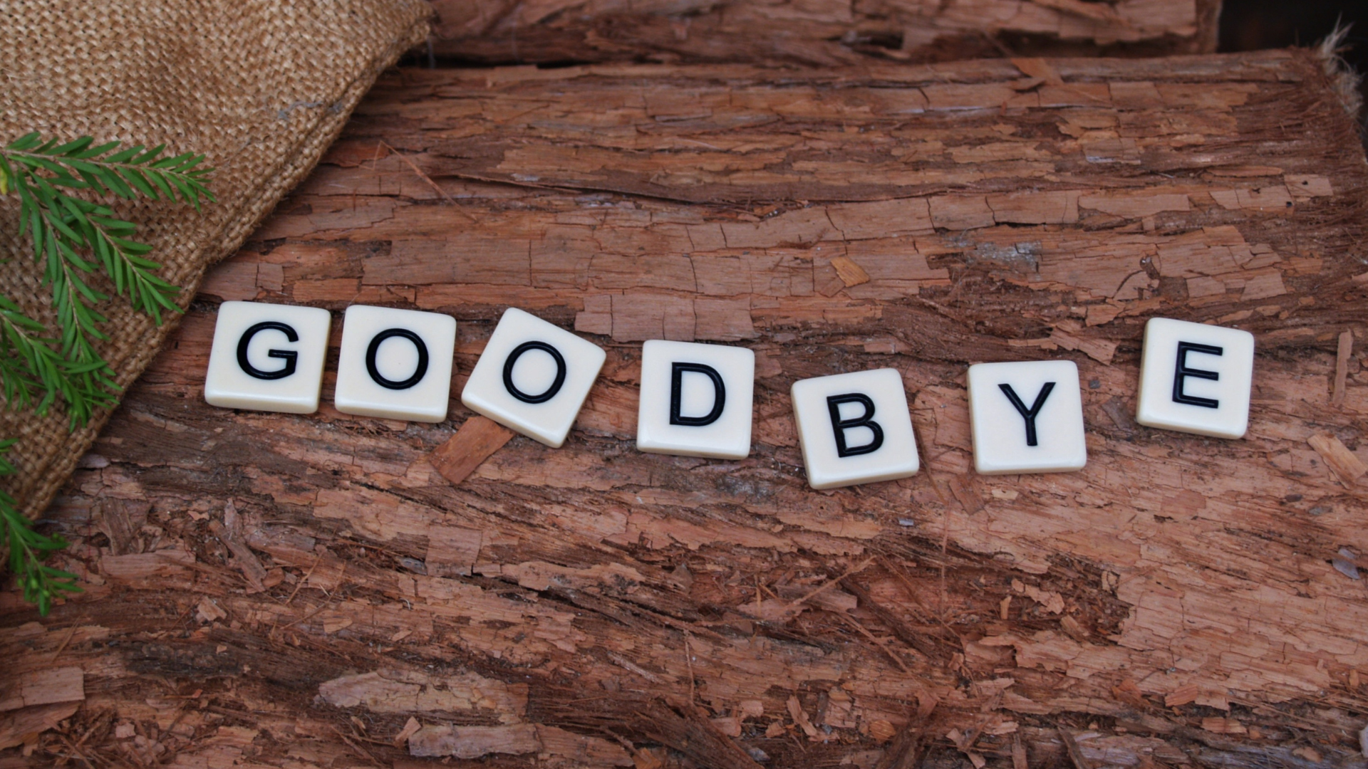 Thiết kế chưa có tên (1)