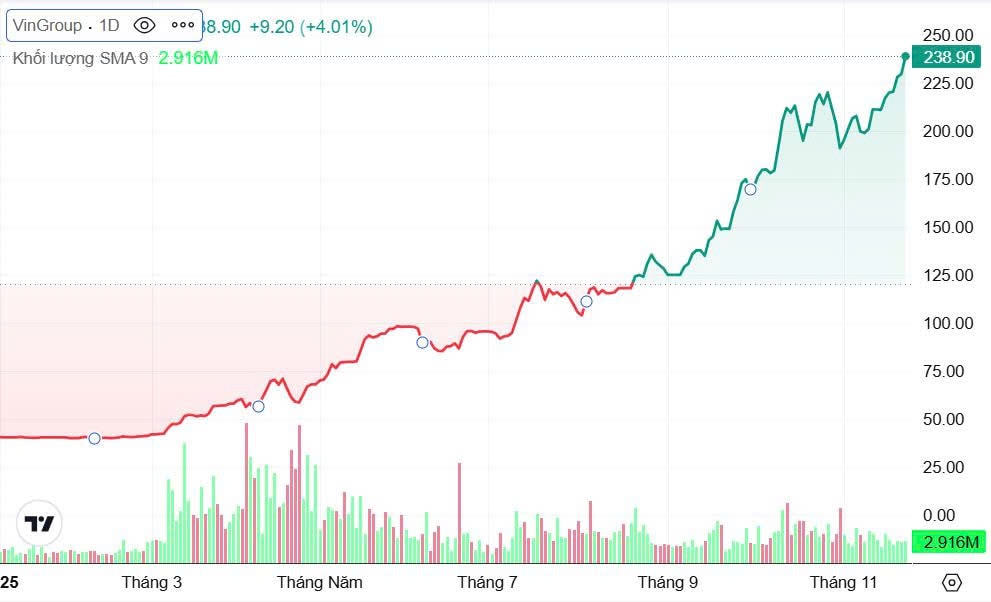 vingroup4.jpg