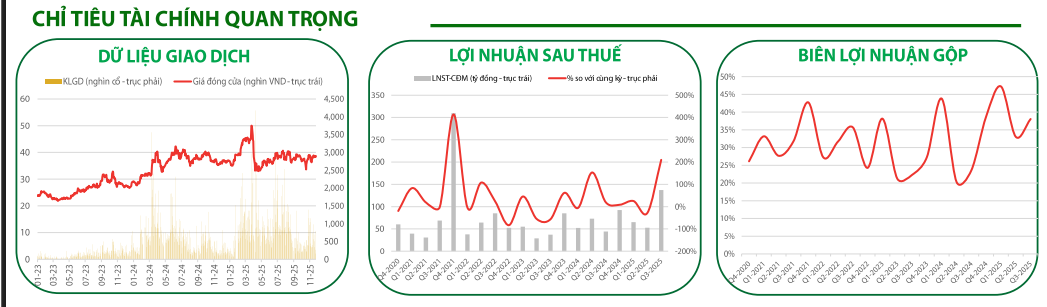 các chỉ số tài chính