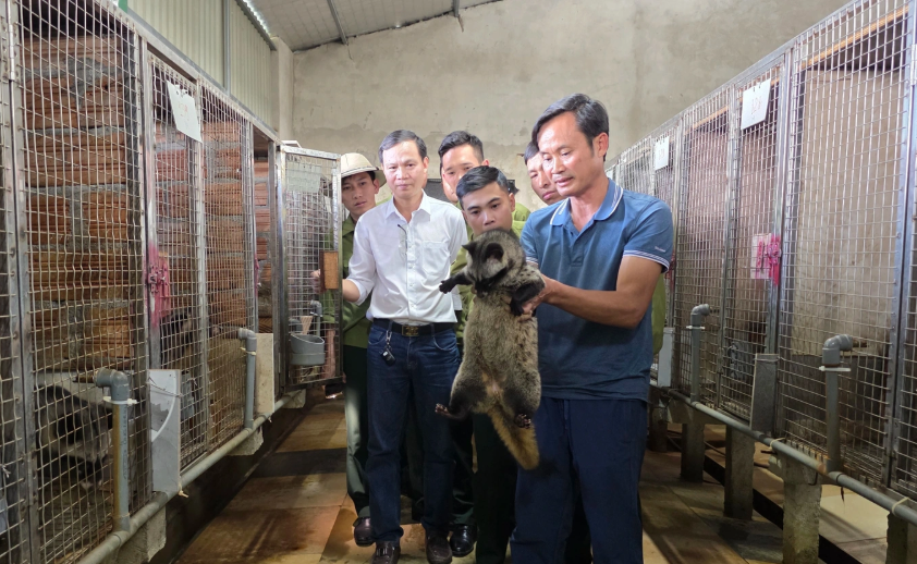 Anh Nguyên đang chia sẻ về mô hình nuôi chồn hương
