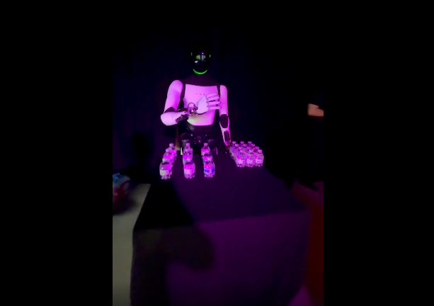robot tesla