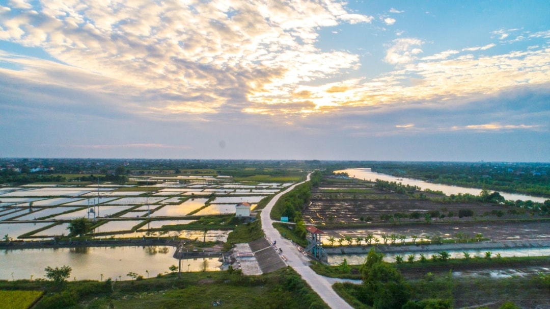 Cánh đồng tại xã Chí Minh (1)