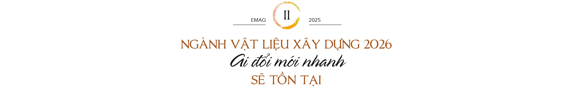 ahld-nguyen-quang-mau-tit 2 web