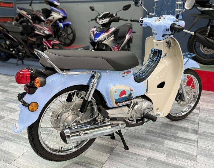cub1.jpg