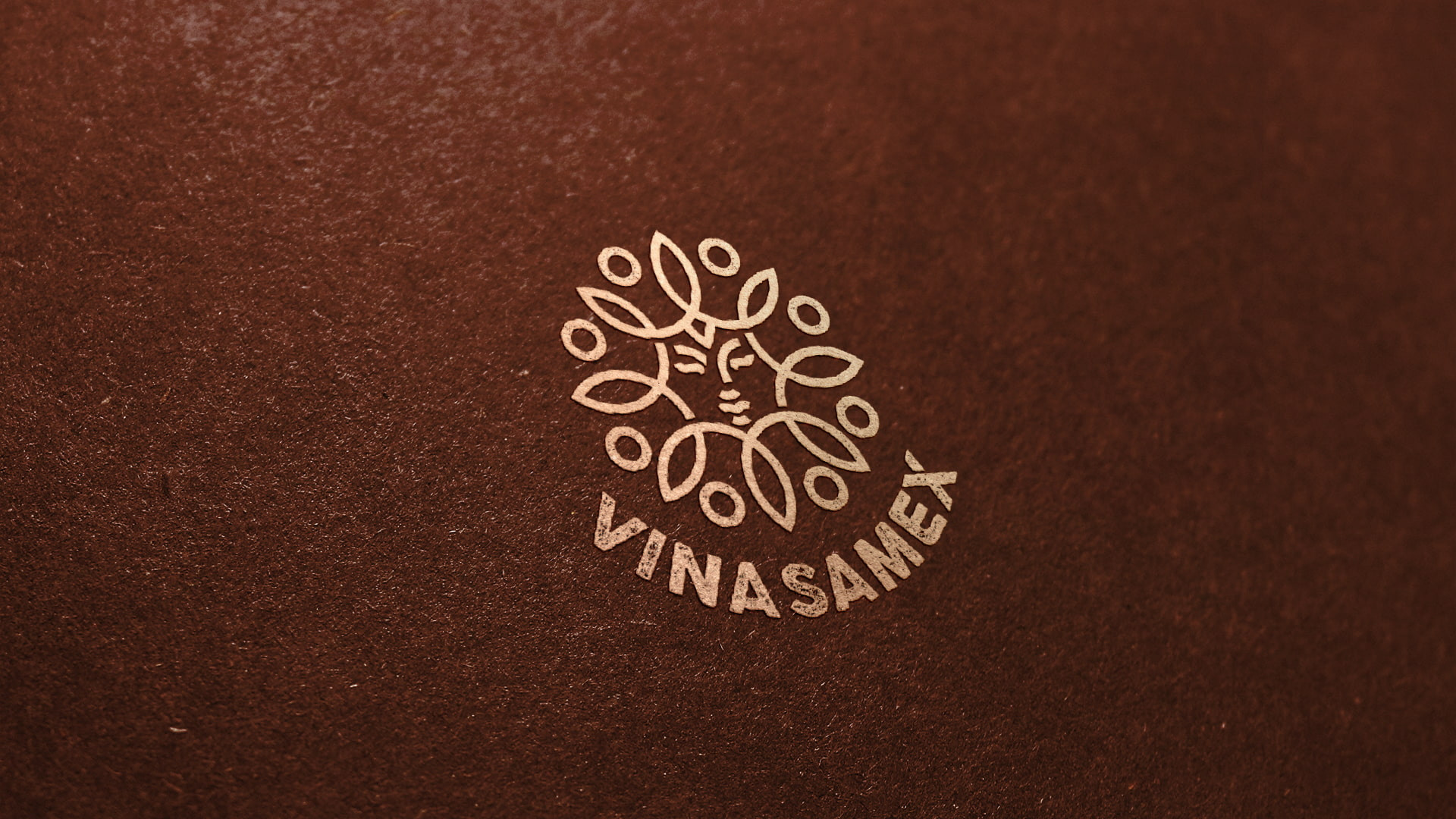 vinasamex-logo-637570326068193790.jpg