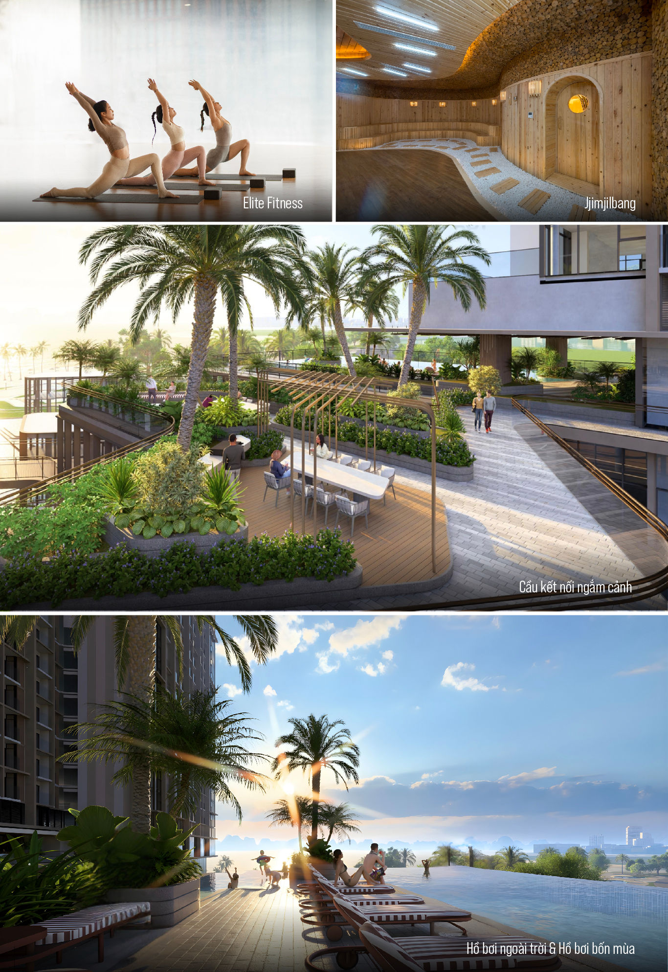 Aria Bay (1)