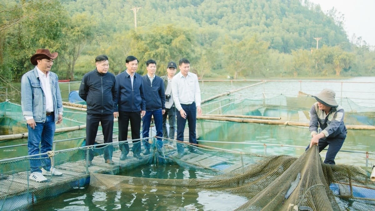 Mô hình nuôi cá trê này đang được cộng đồng bà con nông dân áp dụng rộng rãi hơn
