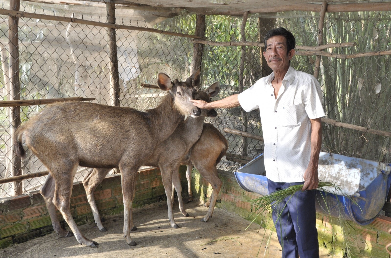 ong-quang-gioi-thieu-ve-mo-hinh-nuoi-huou-cua-minh.jpg