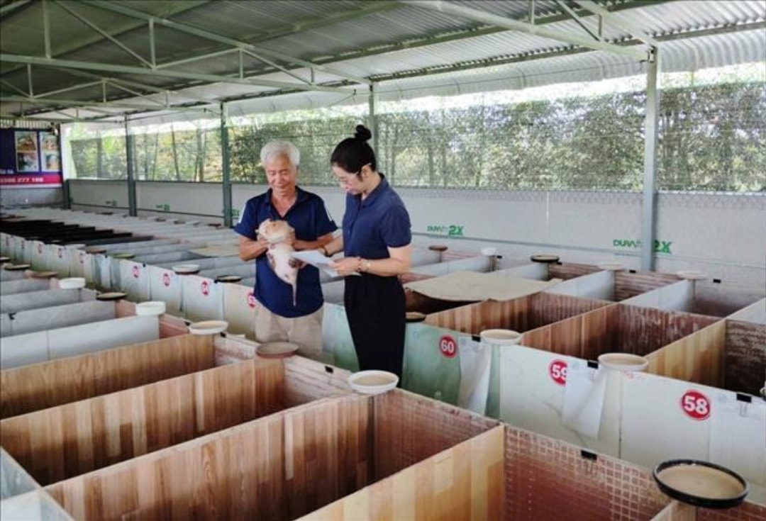 Khu vực chuồng trại của Trại dúi Nguyễn Linh (1)