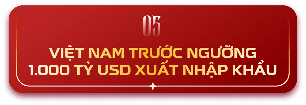 Asset 11