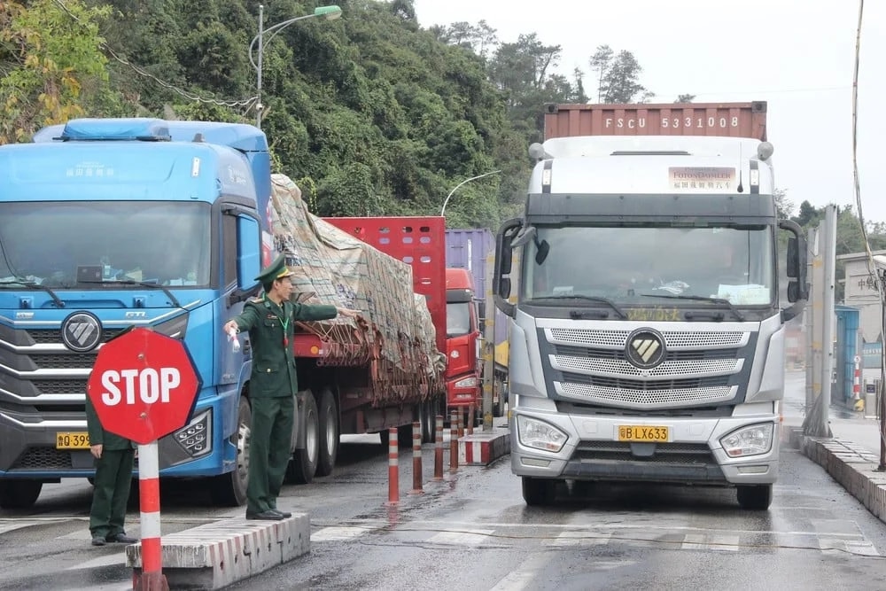 Tạm dừng áp dụng Nghị định số 46 về an toàn thực phẩm đến hết ngày 15/4/2026- Ảnh 1.