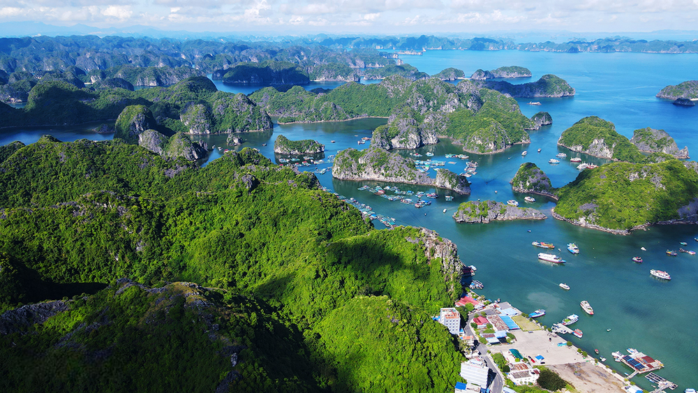 Hải Phòng đang hướng đến một đô thị phát triển xanh