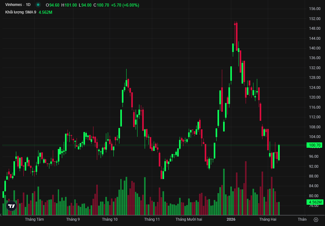 Screenshot 2026-02-10 115113