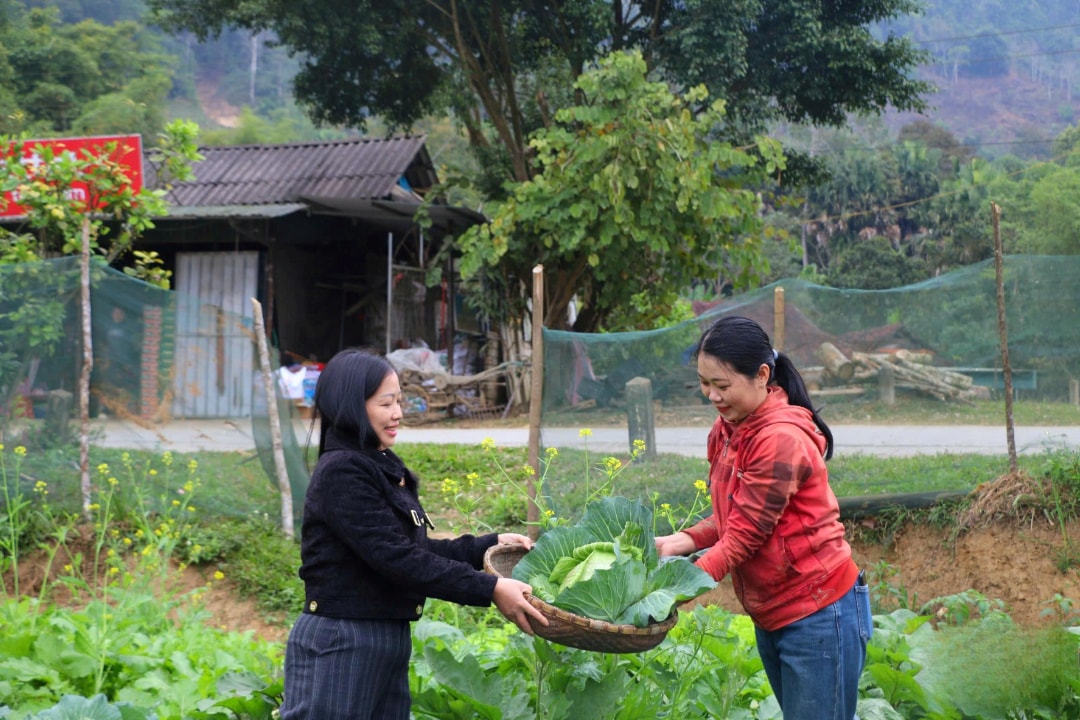 Rau có chất lượng tốt, bà con nông dân buôn bán đắt hàng