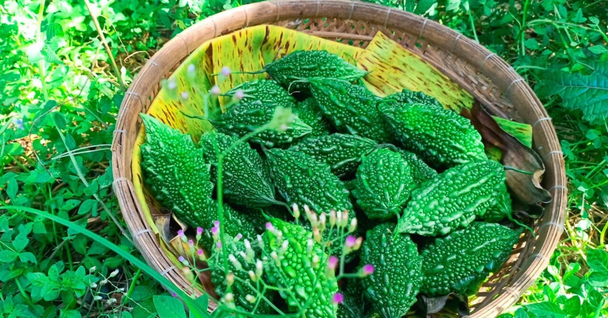 muopdang.webp