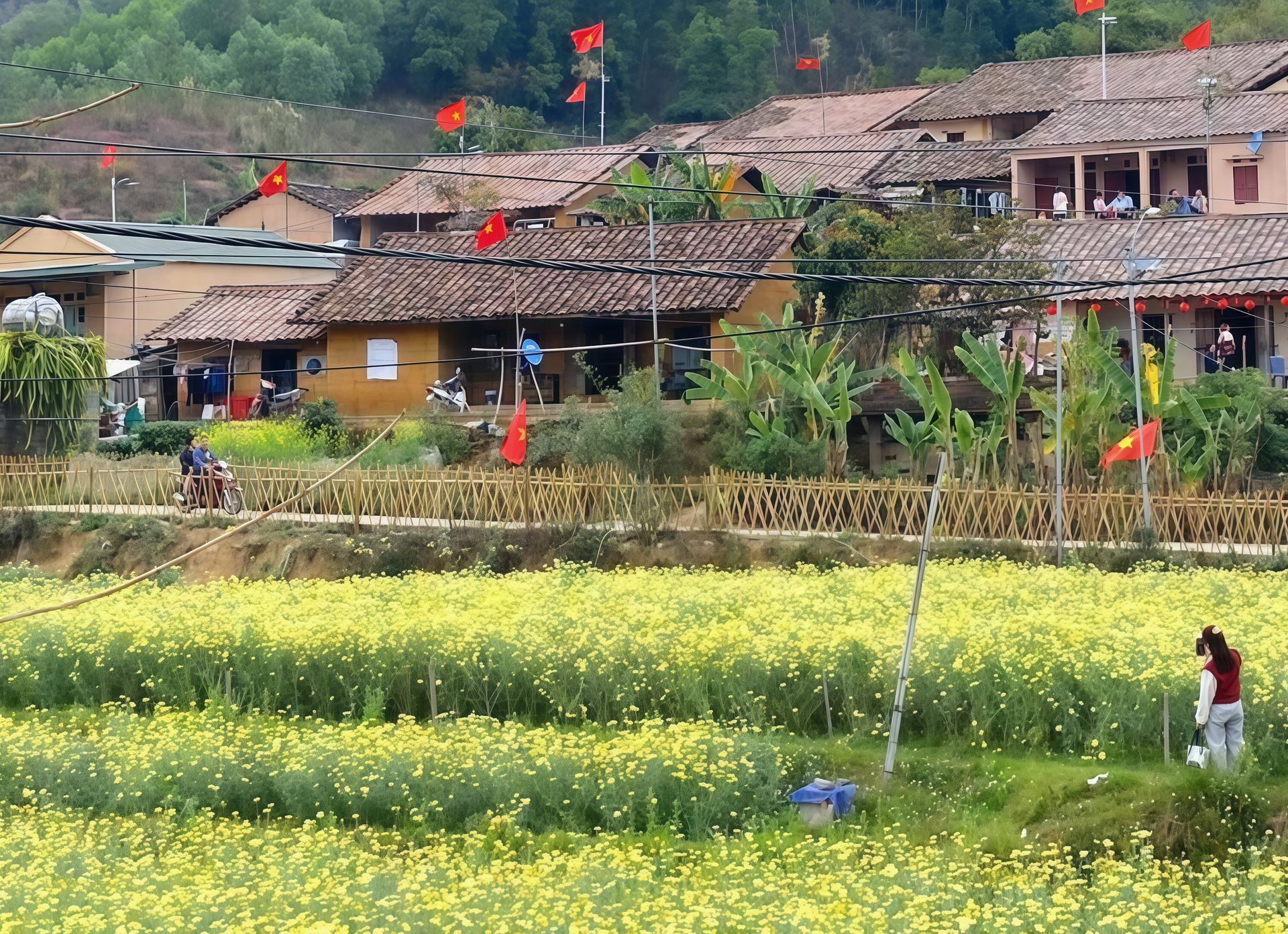 bac hoa