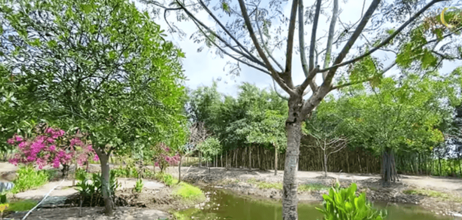 minhhang4.png