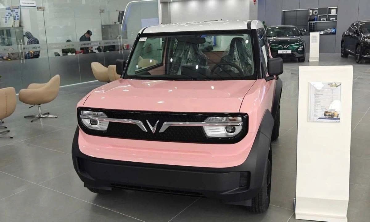 vf3(1).jpg