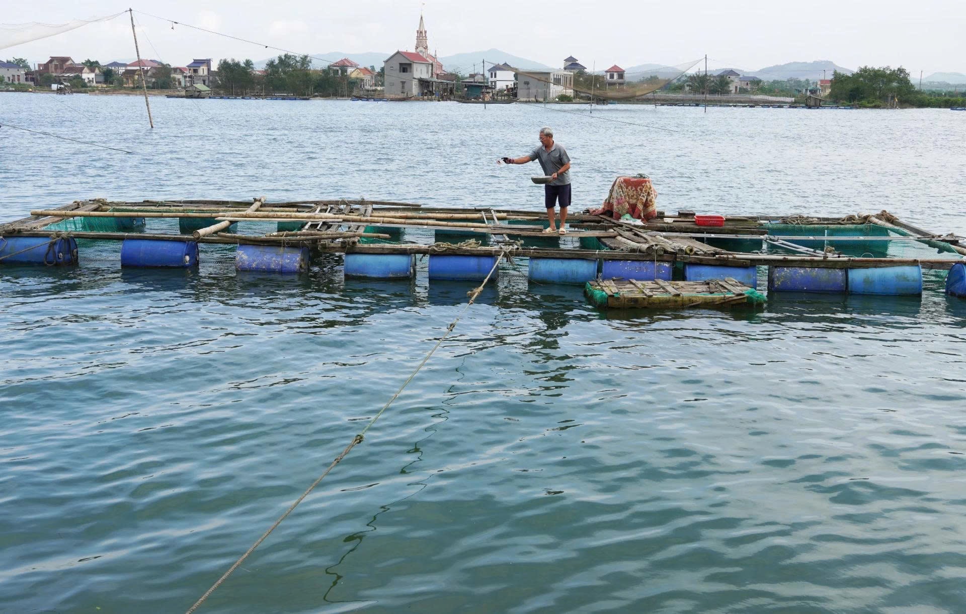 Mô hình nuôi cá lồng trên sông Gianh