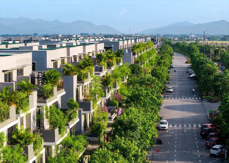 A street with cars and trees on it Description automatically generated
